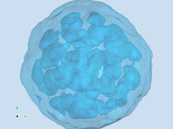 The internal cavities inside a nano-particle shown by a semi-transparent isosufrace of water density.