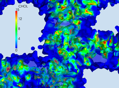 The isosufrace of the density of a cationic lipd colored by the density of cholesterol.