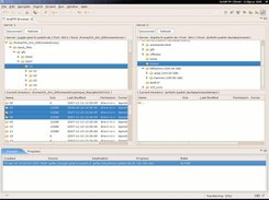 Transferring 3 directories from a Globus site to dCache