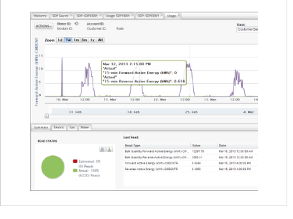 Gridstream MDMS Screenshot 1