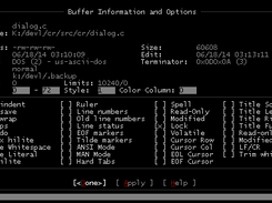Buffer Info