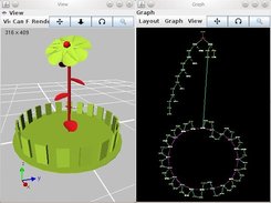 3D view of a plant and its 2D graph