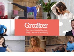 Grokker Screenshot 1