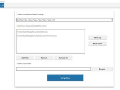 Document Merger Control View