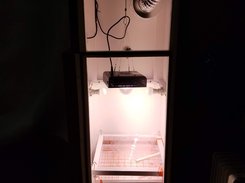example grow box