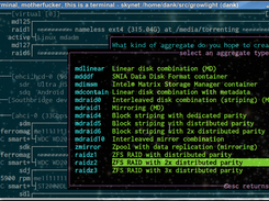 Full support for mdadm, hardware RAID, ZFS, btrfs, and device-mapper.