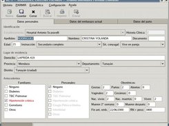 Interfaz de ingreso de datos / Data input user interface