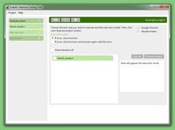 Project execution window