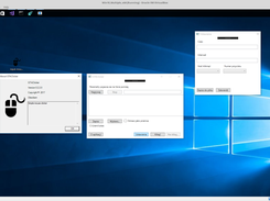 All windows