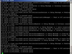Server Console Screen