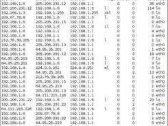 Displays Kernel Route Cache