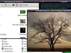 showing gimageviewer with ROX fileer and Icewm