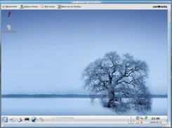 Viewer window