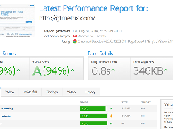 GTmetrix vs Pagespeed Insights