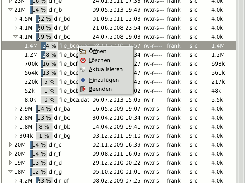 gtreesize Screenshot 1