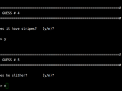 Questions Examples