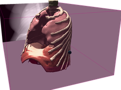 Anatomical data demo