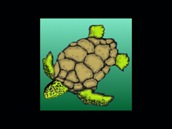 turtle