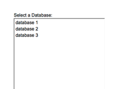 Second view of the application