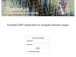 First view of the application