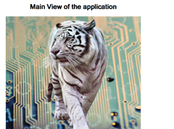 Third view of the application