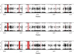 H3M2 output plots.
