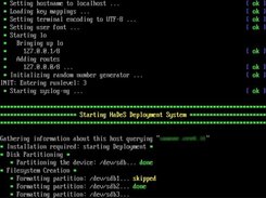 HaDeS deployment during the disk formatting step