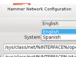 Hammer Network supports, at this moment, Spanish and English.