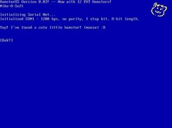 Initial bootup screen