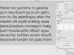 Image Viewer (after enhancement)