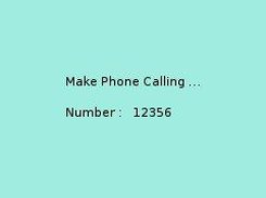 make call