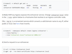 HAProxy Ingress controller Screenshot 1