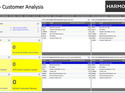 Customer Analysis