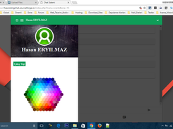 HasCoding Chat System Screenshot 3