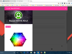 HasCoding Chat System Screenshot 6