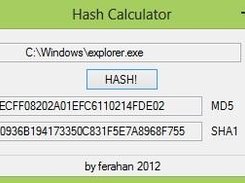 File hash