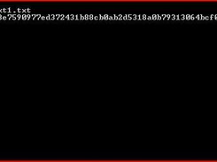 Hash result from an example file