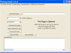 4 Page Audio Encoding