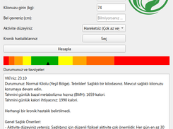 Healthy Weight Test Screenshot 2