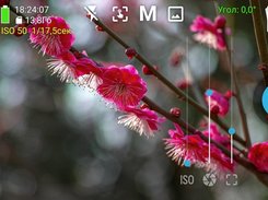 HedgeCam Screenshot 2