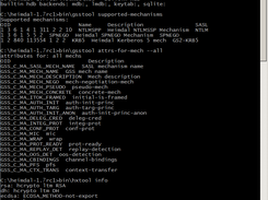Kerberos Client (Info)