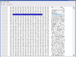 Hex Editor´s Main Screen with HexBox control