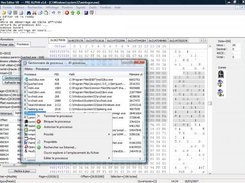 Process Edition (under Windows Vista)