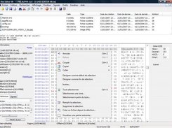 Normal File Edition (under Windows Vista)