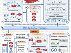 Implementation of HGPEC