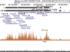 H3K27me3 covering the Hoxa cluster in mm9