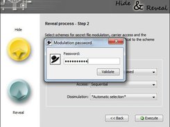 Revealing process - step 2: asking for modulation password