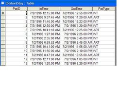 Small portion of sample input data table