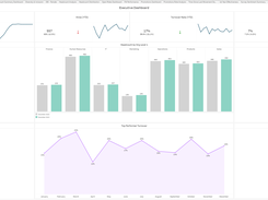 Executive Dashboard