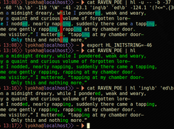 Term-Highlight in action